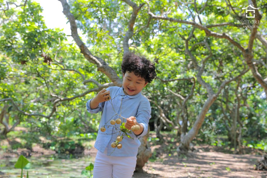 Mekong River travel orchard