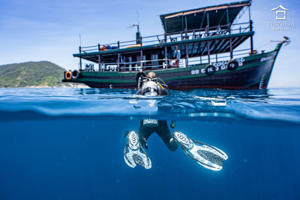 Snorkeling tour