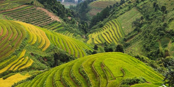 Victoria-Voyage-Image-Ultimate-Northern-VN-Experience-4