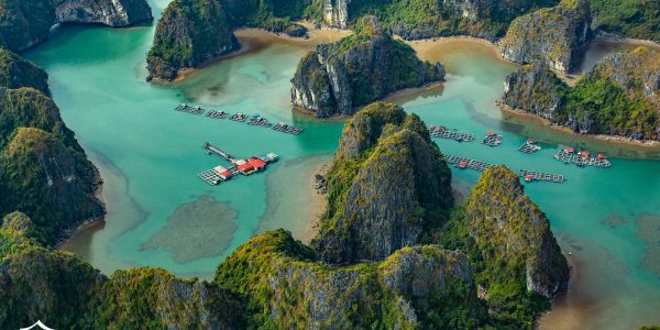 victoria-voyages-image-ha-long