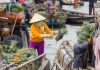 Ultimate Mekong Delta Experience