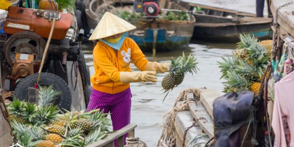 Ultimate Mekong Delta Experience